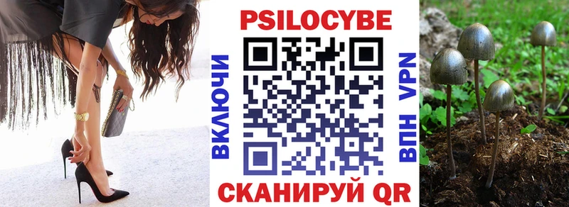 как найти закладки  Кондопога  Псилоцибиновые грибы Cubensis 